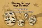 Ouvrez la cage aux oiseaux